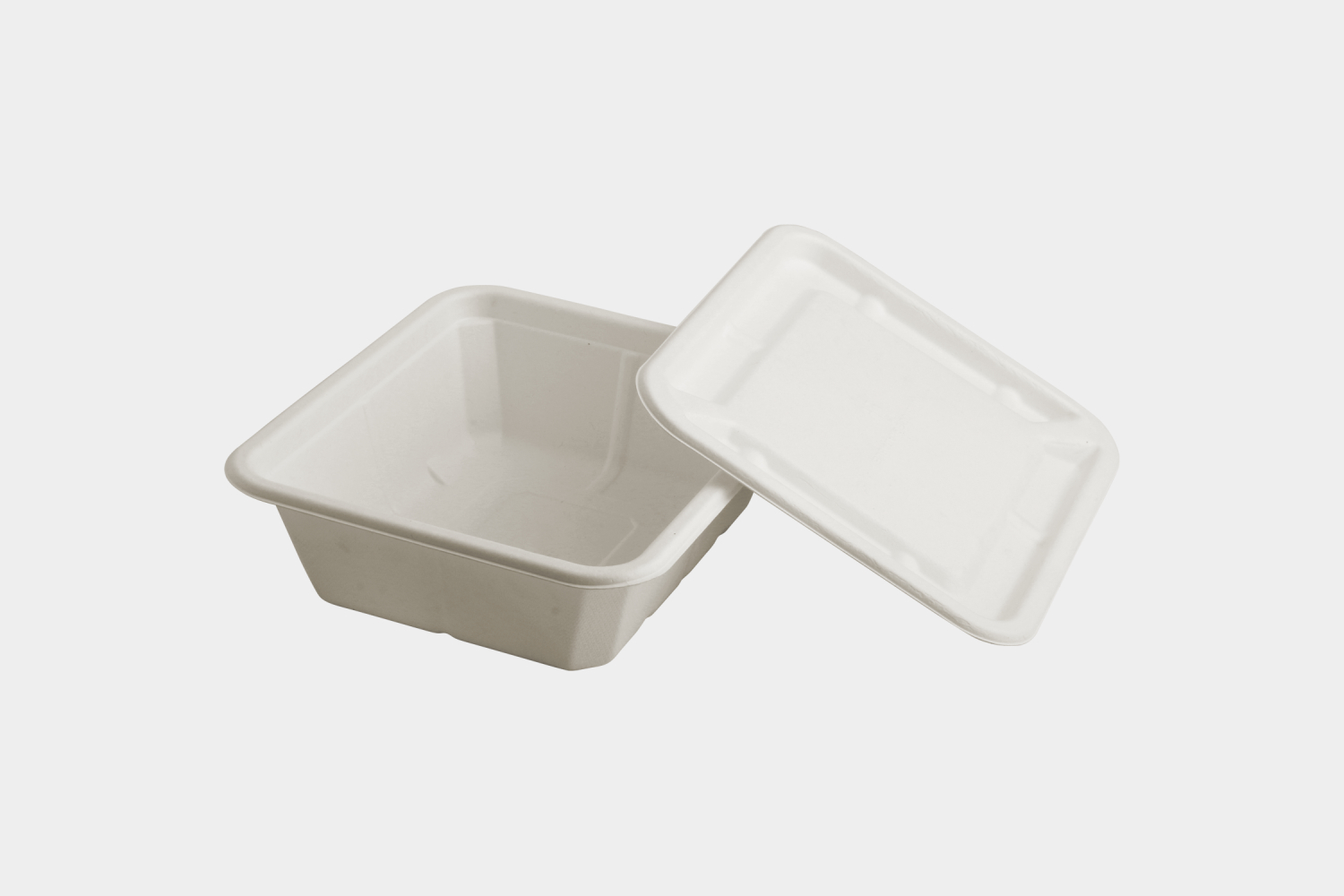 Eco-friendly Disposable Food Container